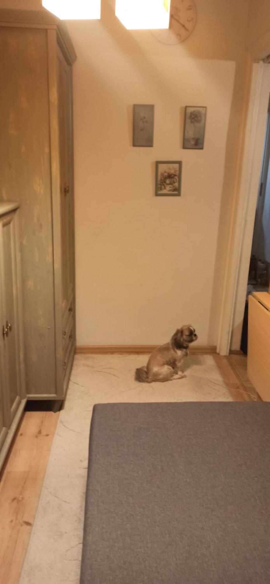 Apartamento Cichy Zakatek Kołobrzeg Exterior foto
